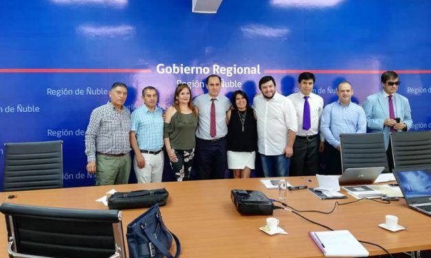 En la ciudad de Chillán, el día 29 de Enero 2019, se presentó al Consejo Regional de la Región
